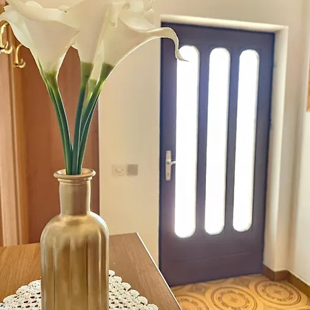 Apartment Brkulj